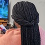 Small French Knotless Box Braids (Back Length)