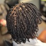 Senegalese Twist Large