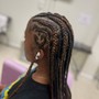 Kid's Braids w/ hair added