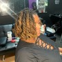 Loc Retwist ( Mid Back )