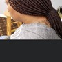 Small French Knotless Box Braids (Back Length)