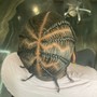 Comb Twist