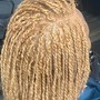 Havana Twists