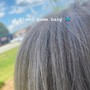 Full Balayage/Full highlights