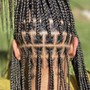 Kids Braided Ponytails (1 or 2)