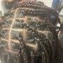 Large Butterfly Locs