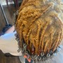 Root Touch Up