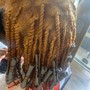 Root Touch Up