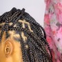 Waist Length Island/ Passion Twists