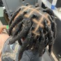 Starter Locs | Two Strands