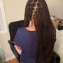 Kid's Box Braids (natural hair)