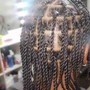 Poetic Justice Braids