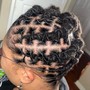 Starter Locs