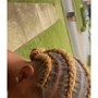 Medium Box Braids