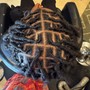 Small Starter Locs