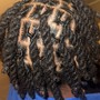 Starter locs