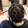 Starter Locs