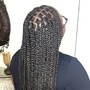 Medium Individual Braids