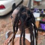 Detox Locs