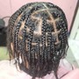 Knotless Braids (Jumbo)