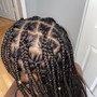 Medium Box Braids