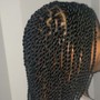 2 Feed In Braids