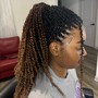 Havana Twists