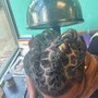 Individual Braids w/o weave