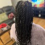 Havana Twists