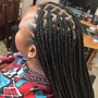 Box Braids