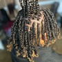 Starter Locs