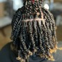 Starter Locs