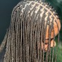 Exotic Bermese Junk Braids (small)