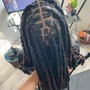 Half 1/2 Starter Locs