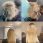 Olaplex Treatment