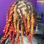 Large Starter Locs