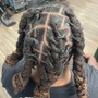 Starter Locs | Instant Locs