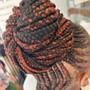 Tree Braids