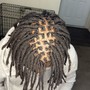 Retwist and wash