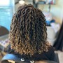 Adult Crochet Braids