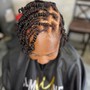 Individual Plaits/ Braids and Twists