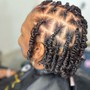 Individual Plaits/ Braids and Twists