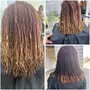 Starter Locs