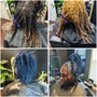 Starter Locs