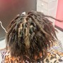 Starter locs