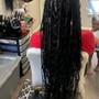 Root Touch Up