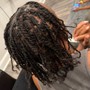 Starter Locs