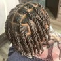 Two Strand Twists