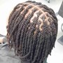 Two-strand Twist (natural hair)