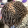 Root Touch Up